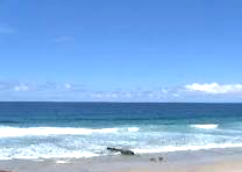 Baja Beach View
