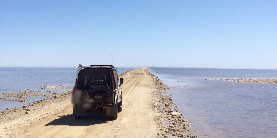 Scammon’s Lagoon and Saltworks Baja Review