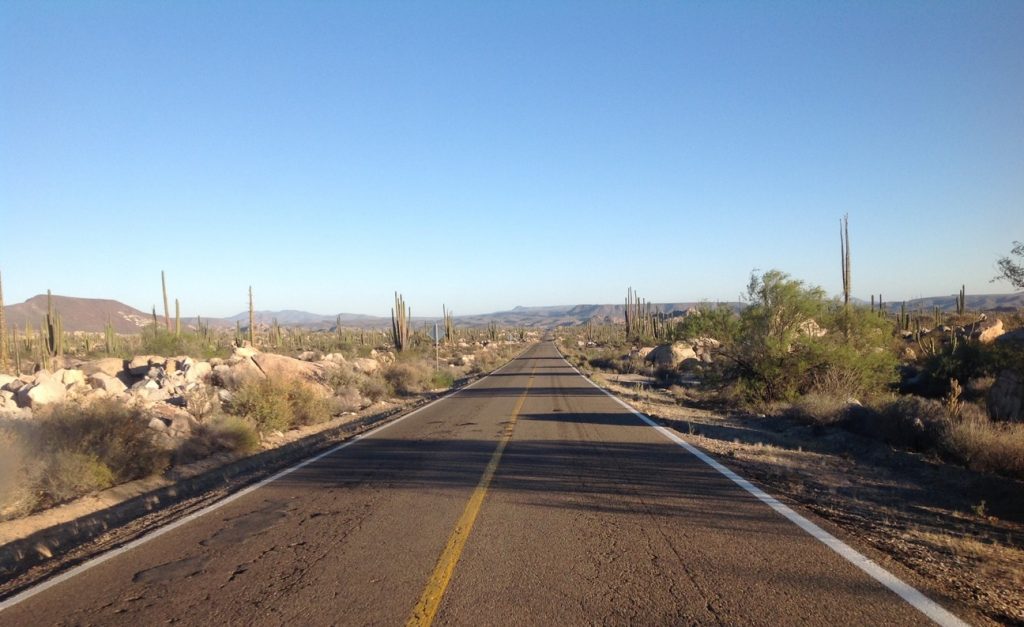 Scene from Baja California Valle de los Cirios, or the Valley of the Candles